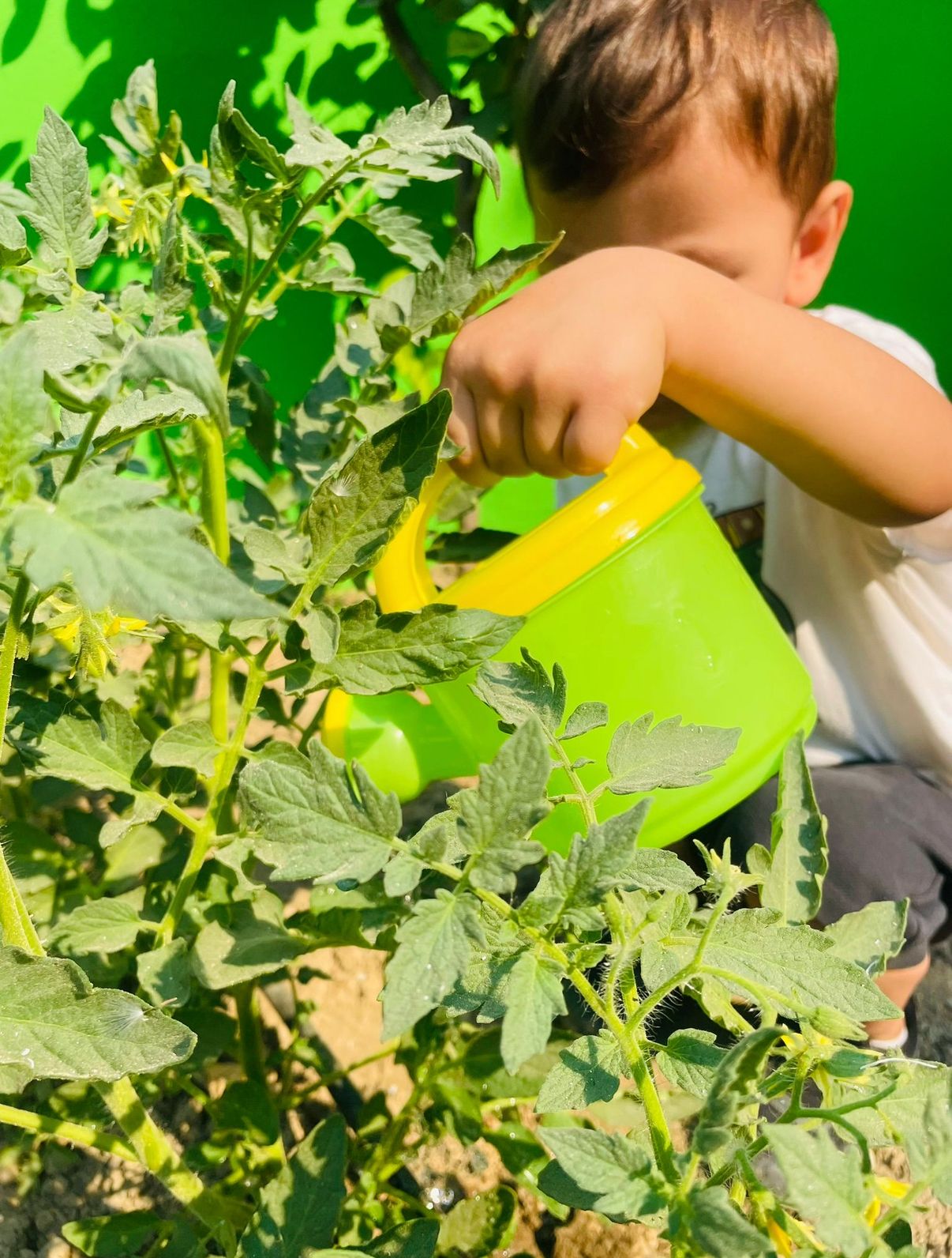 Özel Bilgi Bahçem Anaokulu 